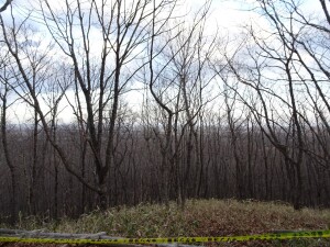 3日目　丹頂広場からの釧路湿原